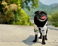 株式会社酔翁アイシン警備(広島県廿日市市/警備・交通誘導)_4