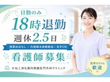 Rakuten 59931 u 13 3213