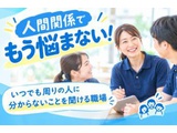 Rakuten 61194 u 49 1400