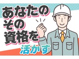Rakuten 65957 u 114 6228